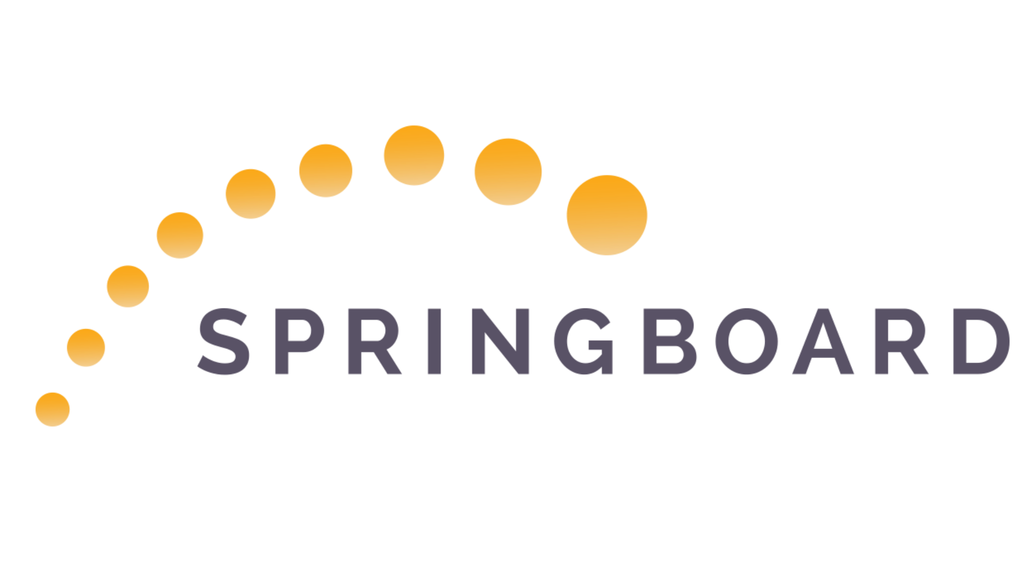 Springboard corner november 2024 connect foundation